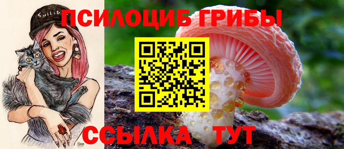 Галлюциногенные грибы мицелий  Вход с VPN  дарнет шоп  Мытищи  Галлюциногенные грибы Magic Shrooms 